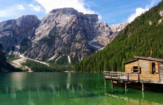 Comfortable House - Garden and Parking - Photo 40