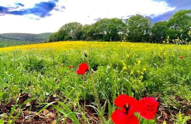 Agriturismo Colleverde Capalbio - Foto 30