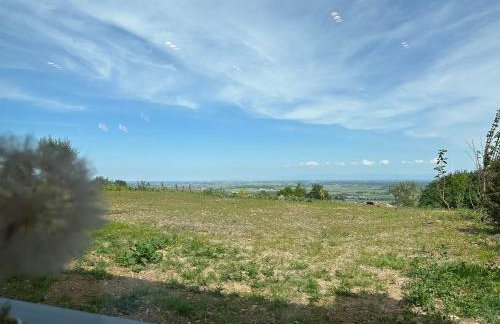 L'écrin d'Anne et Stéphane - vue sur Strasbourg - Foto 69