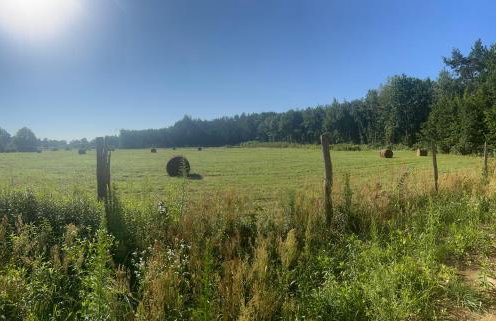 Radawa LOVE - Foto 29