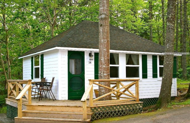 Hinckleys Dreamwood Cottages - Photo 13