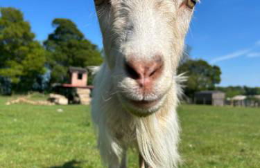 The Barn, Wolds Way Holiday Cottages, 2 bed ground floor - Foto 23