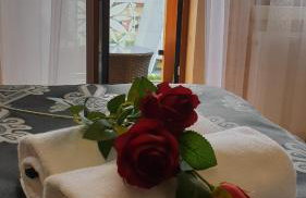 Villa Fortuna - Regionalne apartamenty & SPA - Sauna, Grill, Jacuzzi z widokiem na Tatry - Foto 17