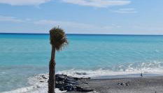(A)MARE - Foto 4