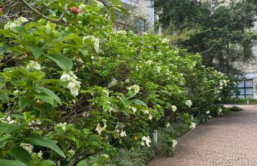 Barra Family Resort, a sua melhor escolha - Foto 15