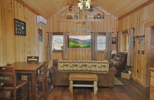 Couple Retreat Cabin-near Smoky Mountain Railroad-Hot Tub - Foto 21
