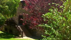 Casa Rómulo - Foto 5, Garden