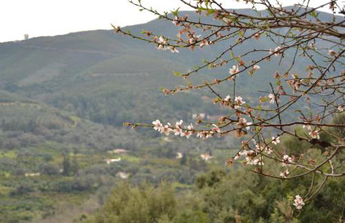 Augusta Country House - Foto 35