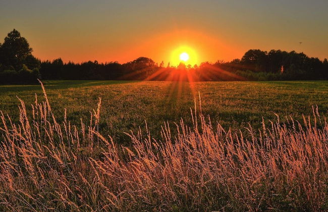 6 Person Holiday Home in Skummeslovsstrand - Foto 15