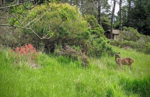 The Quail's Nest Retreat - Foto 7