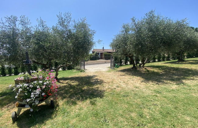 La Casa Del Sole in Casamaggiore - Foto 33