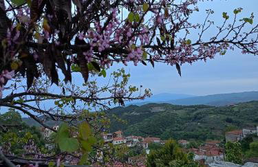 Αρχοντικό Πανόραμα - Foto 33