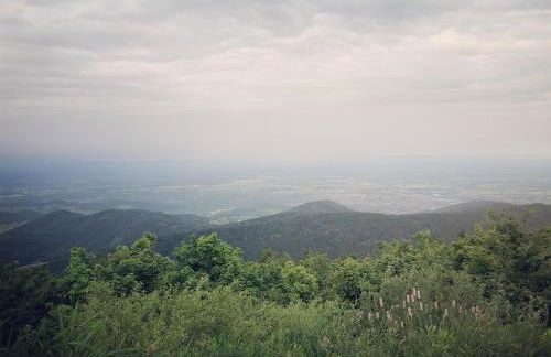 Schwarzwald Wohnung Kniebis - Foto 22