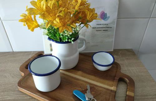 Pedroenea Apartamento Elizondo - Foto 33