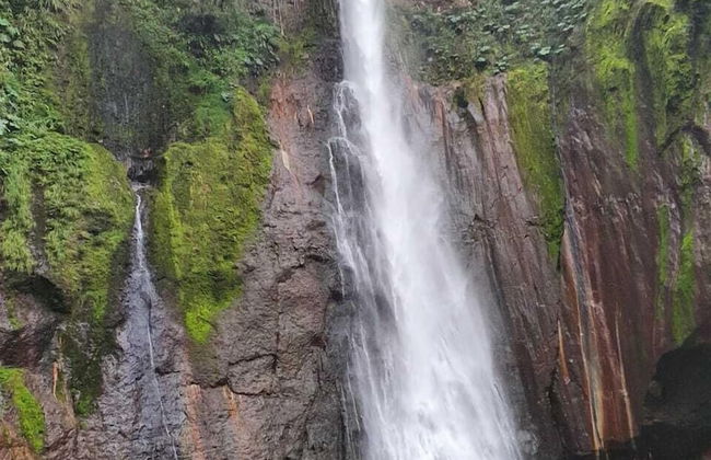 Selvática del Toro - Foto 45