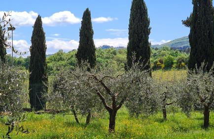 Casa Colonica - Foto 44