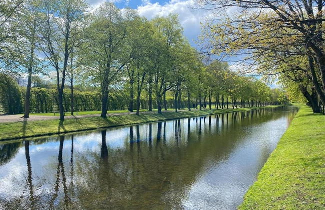 Wooden House in Plate Near Lake Schwerin - Foto 29