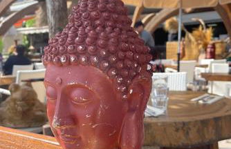 VILLENEUVE LOUBET PLAGE- Entre NICE et CANNES - Foto 39