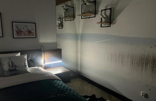 Apartamenty Terminal Charzykowy - Foto 49