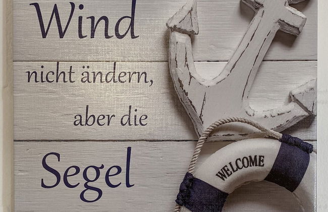 Ostseekrabbe - Foto 18