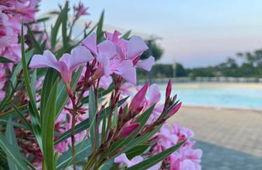 Agriturismo La Rondinella - Photo 8