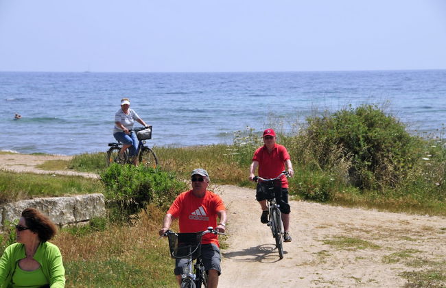 Hipotels Apartamentos Cala Bona - Photo 13