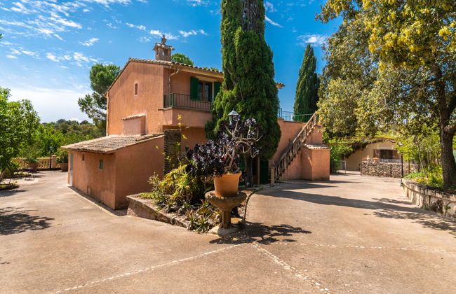 Capella Rubi - Photo 48