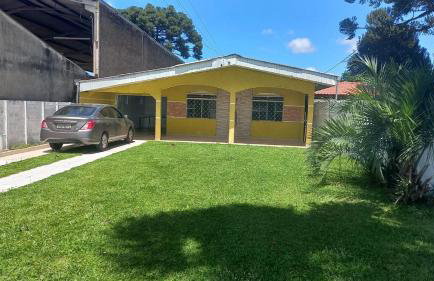 Flor da Primavera - Foto 16