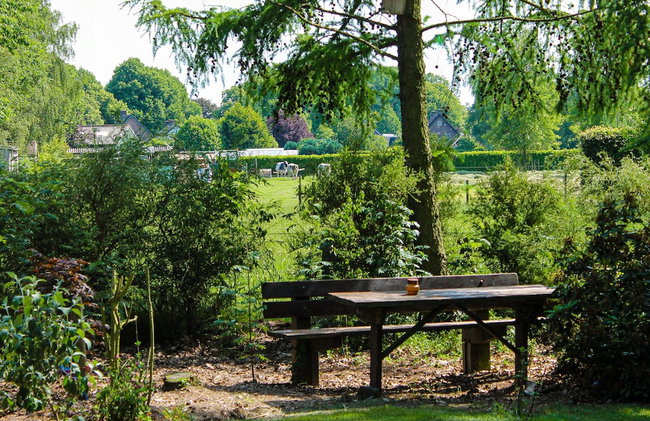 Cottage in Schijf With Garden - Foto 24