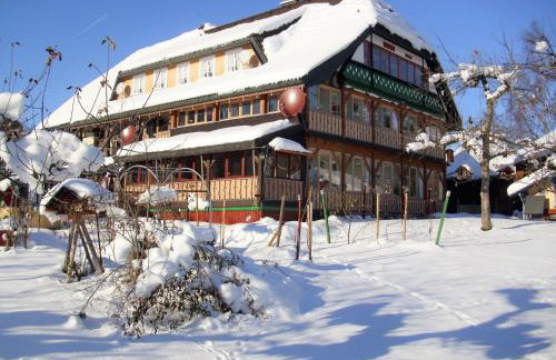 Apartment Wannenhof historisch by Interhome - Foto 11