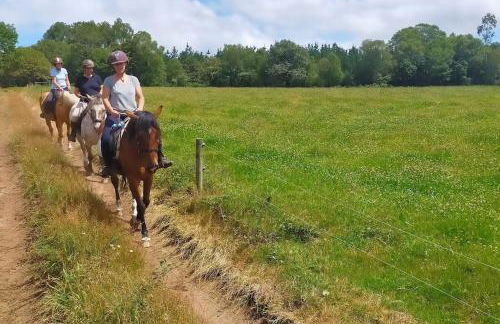 Granja Labrada: Alojamiento con caballos - Foto 33