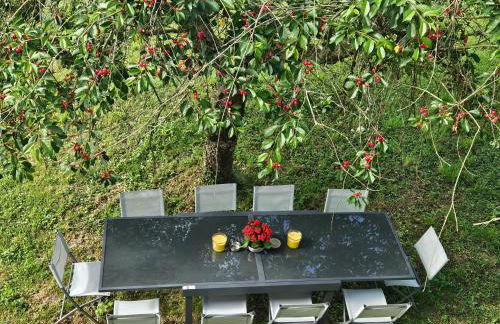 Gîte du Magnolia - Photo 40