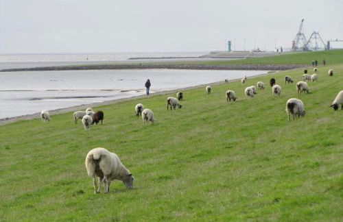 Rosenhof12 - Foto 13