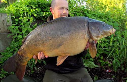 Beech Lodge 4 Hot Tub - Photo 7