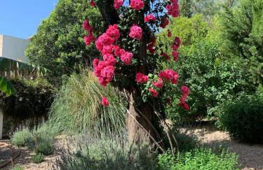 Casas de Almajar - Foto 45
