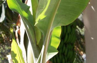 Casa Creativa - Foto 21