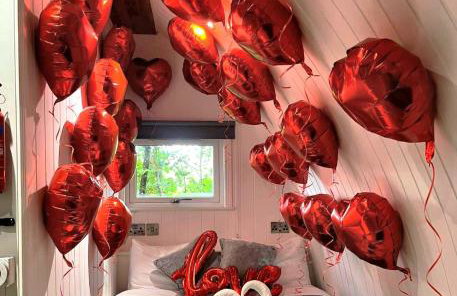 The Pod-Hot Tub-Woodland Lodges-St Clears-Carmarthen - Foto 1