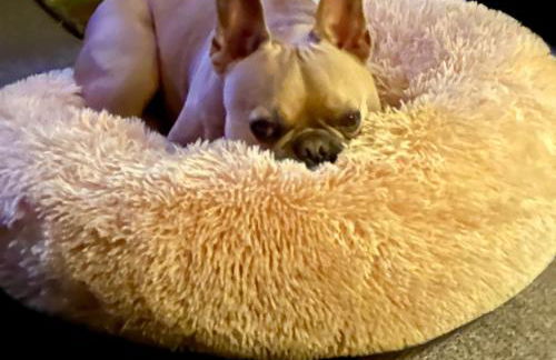 CENTRAL HOVE Large 2 bedroom Private residence with PARKING & BEACH HUT - Foto 41