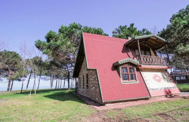 ÇINARSUYU TABİAT PARKI BUNGALOV - Foto 13