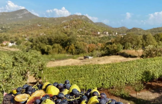 Apartmani Karučki krš - Foto 76