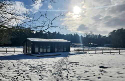 The Retreat 1 bed cabin in the woods - Foto 13