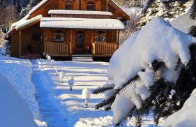 Bieszczadzki Rewir - Foto 7