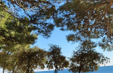 Studio apartman Pegi - Photo 26