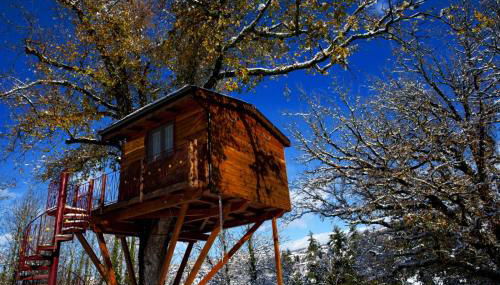 Casa sull'albero Bocchineri - Foto 2