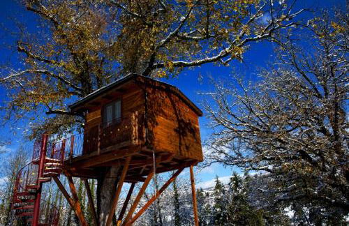 Casa sull'albero Bocchineri - Photo 2