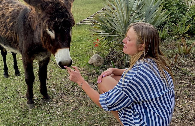 Rancho con Caballos El Reencuentro - Foto 66