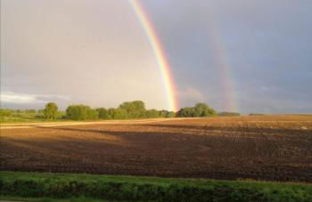 Sommerhaus Verchen - Foto 21