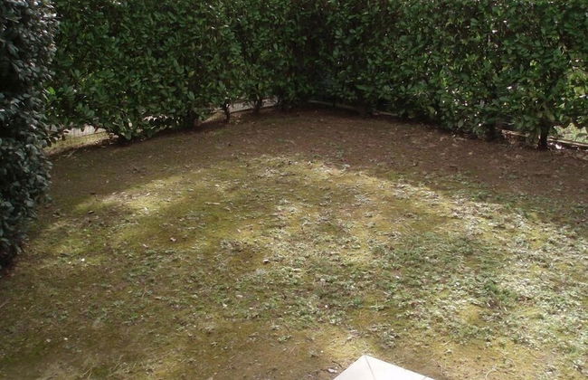 Residence Gemini - Foto 47