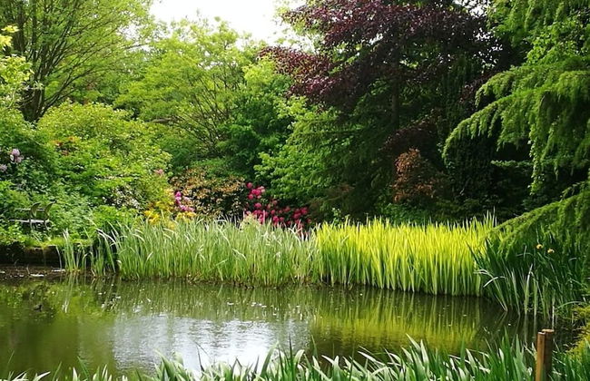 Hayeswood Lodge Luxury Accommodation - Photo 12