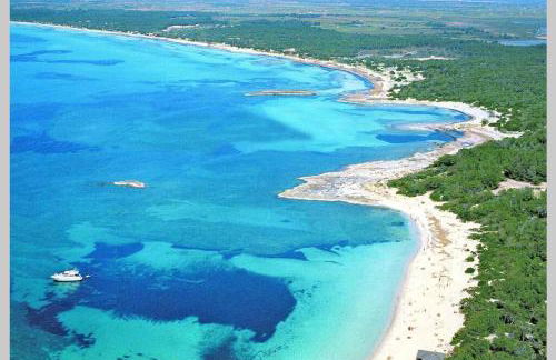 Residence El Paraiso - Photo 23